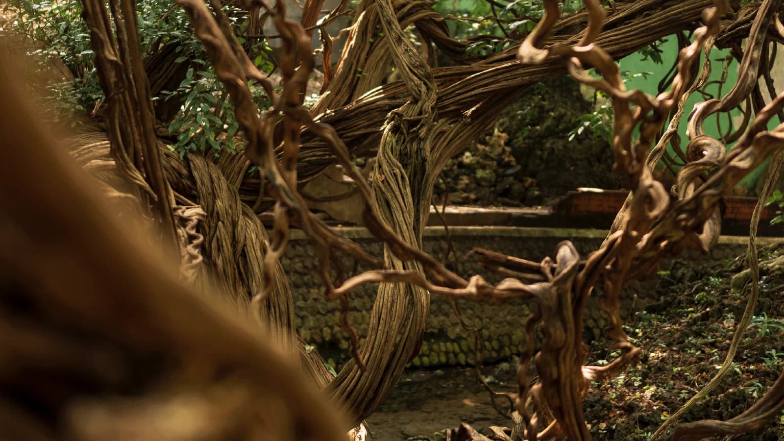 Banner 6